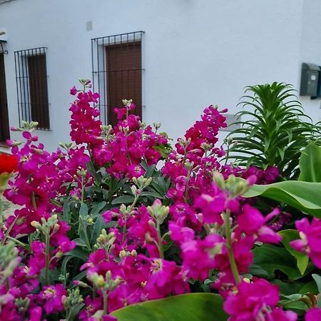 Casa Francisca En El Casco Antiguo Villa Vejer de la Frontera Eksteriør billede
