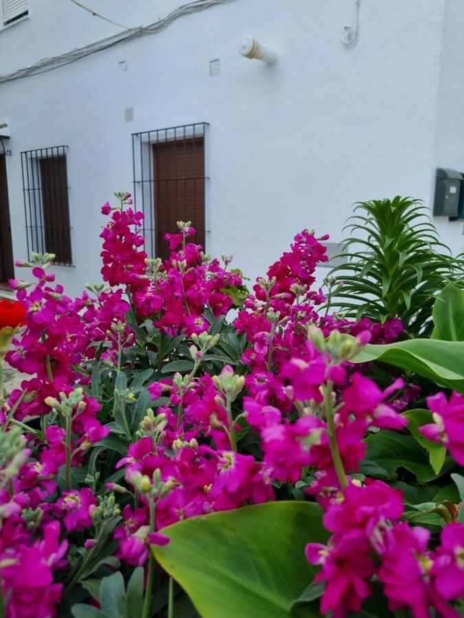 Casa Francisca En El Casco Antiguo Villa Vejer de la Frontera Eksteriør billede