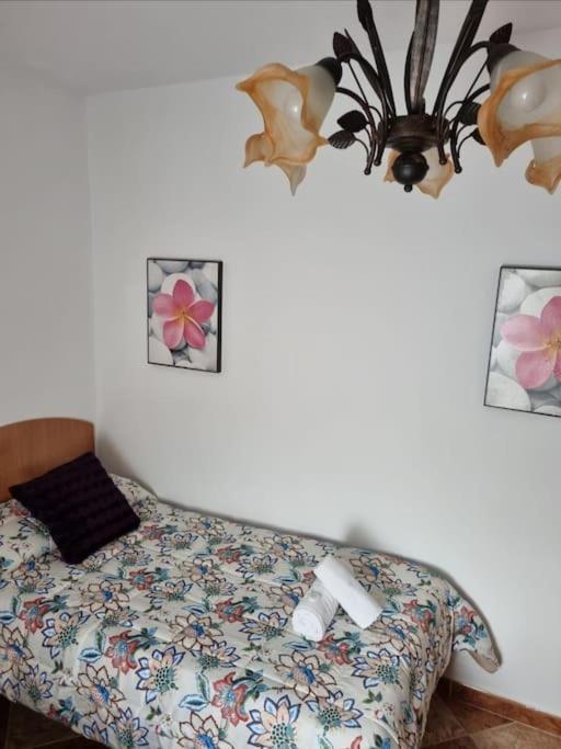 Casa Francisca En El Casco Antiguo Villa Vejer de la Frontera Eksteriør billede